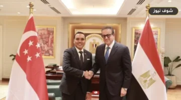 خطة مصر وسنغافورة لإغاثة غزة وتطوير منظومة الإسعاف المصرية