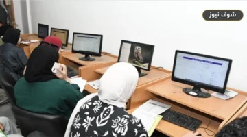 خطوات الاستعلام عن نتيجة تنسيق الدبلومات الفنية 2026 بعد إغلاق باب التسجيل