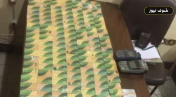 خطوات ضم أفراد الأسرة لبطاقة التموين عبر منصة مصر الرقمية وشروط الاستحقاق