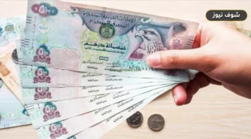 كم تساوي 1000 درهم بالجنيه المصري اليوم في البنوك الرسمية؟