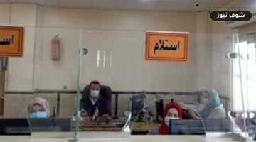 كيف تستخرج بدل فاقد لرخصة محل؟ الإجراءات كاملة من خلال المركز التكنولوجى والشروط الـ 2 للأهلية