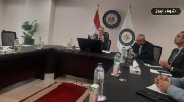 «لا عودة لتخفيف الأحمال».. تفاصيل إنهاء أزمة كهرباء صيفي 2025 و2026 وحجم كشف دينيس غرب 1 الجديد