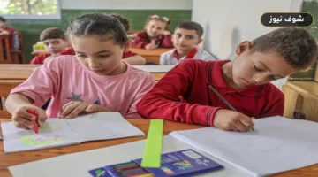 «لتفادي غلق السيستم».. رابط ومواعيد تسجيل استمارة الشهادة الإعدادية 2026/2027 بالقاهرة قبل مهلة 22 أكتوبر