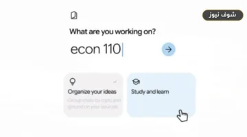 لتحويل مستنداتك إلى بودكاست تفاعلي وبخصوصية كاملة.. Google تطلق دفاتر Study Notebooks في مساعد Gemini