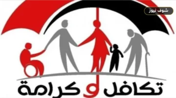 لتجنب زحام المنافذ: كيف تستعلم عن قيمة معاشات أكتوبر 2026 بالرقم القومي؟