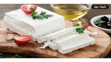 ماذا يحدث عند تجميد الجبن؟ دليل الأنواع التي يفسدها الفريزر وطرق الحفظ الصحيحة