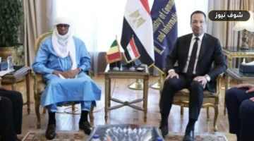 مباحثات مصرية مالية لنقل خبرات الألياف الضوئية والذكاء الاصطناعي إلى باماكو