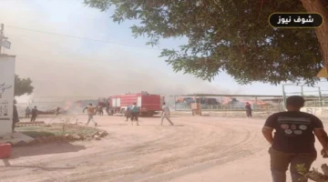 محافظ الوادي الجديد تتابع إخماد حريق مشروع الإنتاج الحيواني بالخارجة لتأمين الماشية