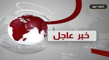 محتوى إطلالات يارا السكري المنشور عبر منصة تاجكِ وتواصل نيوز