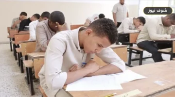 مصاريف المدارس الحكومية 2026: تفاصيل الأقساط الرسمية وطرق السداد بالرقم القومي
