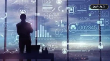 مؤشرات التحول الرقمي في مصر تسجل 7.4 مليارات دولار صادرات رقمية وتضاعف خدمات التعهيد