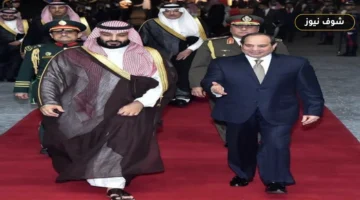 مصر والسعودية: إعلان التوافق المشترك وحدود البيانات المتاحة