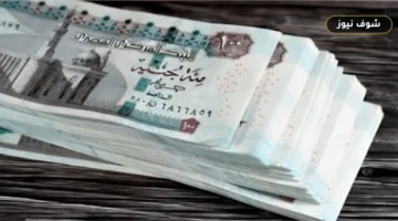 مصروفات المدارس الحكومية 2026 وقائمة الفئات المعفاة وخطوات السداد الإلكتروني المعتمدة