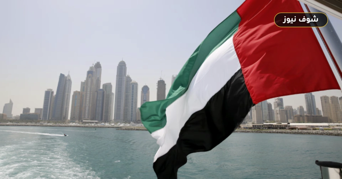 مستويات المهارة في الإمارات.. كيف يؤثر تصنيف المهنة على عقد العمل والترخيص؟ 5 مستويات المهارة في الإمارات.. كيف يؤثر تصنيف المهنة على عقد العمل والترخيص؟