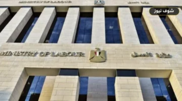 مواعيد عمل مكاتب العمل بالمنوفية وعناوين الفروع والخدمات المقدمة للجمهور