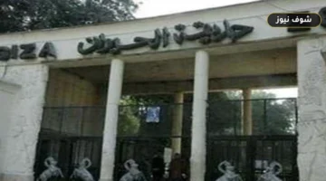 موعد افتتاح حديقة الحيوان بالجيزة 2026 وخطة ربطها بحديقة الأورمان