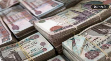 موعد صرف معاشات شهر أكتوبر 2026 وقيمة المستحقات بالزيادة المعتمدة