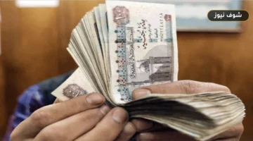 موعد صرف مرتبات سبتمبر 2026 وجدول إتاحة المستحقات للجهات الحكومية