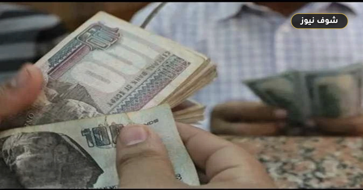 موعد صرف مرتبات شهر سبتمبر 2026 رسميا للموظفين بعد بيان المالية: جدول المتأخرات وقيمة الحد الأدنى الجديد 5 موعد صرف مرتبات شهر سبتمبر 2026 رسميا للموظفين بعد بيان المالية: جدول المتأخرات وقيمة الحد الأدنى الجديد