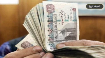 موعد صرف مرتبات شهر سبتمبر 2026 وجدول الحد الأدنى للأجور لجميع الدرجات الوظيفية