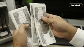 موعد صرف مرتبات شهر سبتمبر 2026 للعاملين بالدولة وجدول صرف المتأخرات