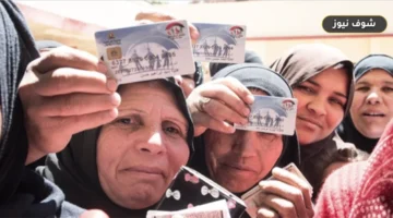 موعد صرف تكافل وكرامة أكتوبر 2026.. خطوات الاستعلام بالرقم القومي وتفاصيل الدعم