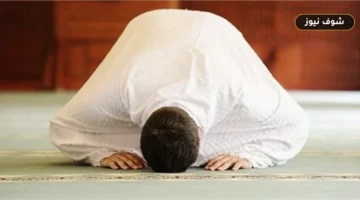 مواقيت الصلاة اليوم الثلاثاء 29 سبتمبر 2026 في المحافظات.. مواعيد الفجر والظهر والعصر والمغرب والعشاء بدقة