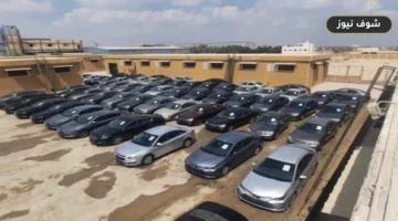 مزاد سيارات جمارك مطار القاهرة: تفاصيل طرح مرسيدس وبورش وBMW ومواعيد السداد