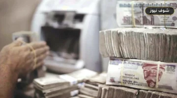 نمو تمويلات البنوك المصرية يتجاوز 29% في النصف الأول 2026 رغم الفائدة المرتفعة