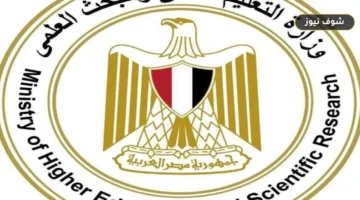 نتائج الكرة الطائرة في دورة الألعاب الأفريقية للجامعات «القاهرة 2026»