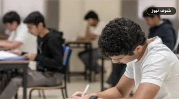 نتيجة تنسيق الدبلومات الفنية 2026 برقم الجلوس والرقم السري عبر موقع التنسيق