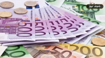 «قبل الشراء أو التحويل».. تفاوت سعر اليورو أمام الجنيه بمنتصف تعاملات اليوم الخميس 24 سبتمبر 2026 بالبنوك