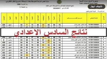 «قبل رفع ملفات الـ PDF».. استعلام نتائج السادس الإعدادي 2026 الدور الثاني عبر موقع وزارة التربية العراقية