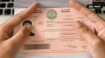 «قبل تراكم 50 درهماً يومياً».. ضوابط غرامة انتهاء الإقامة في الإمارات 2026 وقنوات السداد الرسمية