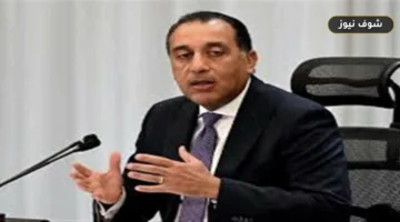قرار عاجل من الحكومة بشأن الأجانب المقيمين في مصر بطريقة غير شرعية: مد المهلة لعام إضافي