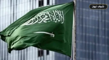 قرارات الجوازات السعودية تشمل 22894 مخالفا وتحدد عقوبات السجن والغرامة والترحيل