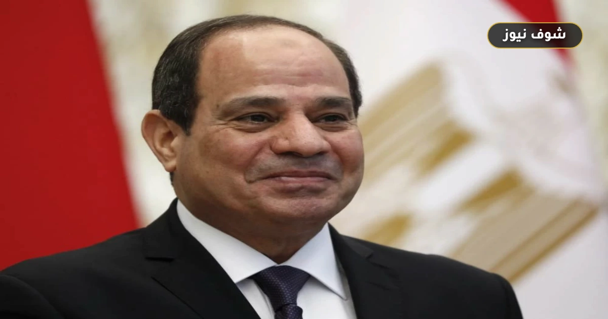 3 قرارات حكومية تدخل حيز التنفيذ: تعيين قضاة وترقية شهيد وتداول القطن 5 3 قرارات حكومية تدخل حيز التنفيذ: تعيين قضاة وترقية شهيد وتداول القطن