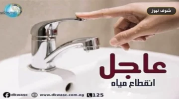 قطع المياه عن 8 مناطق في حلوان.. شركة مياه القاهرة توضح الأسباب وتوفر بدائل مجانية