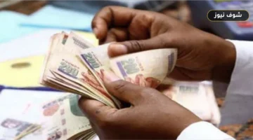 خانة الـ750 جنيهاً.. خطوة في مفردات المرتب تكشف نزول الحافز الإضافي للعاملين بالدولة كاملاً