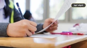 رابط تحميل تقييمات الأسبوع الثالث 2026 PDF لصفوف النقل.. خطوات التنزيل وتوزيع درجات أعمال السنة