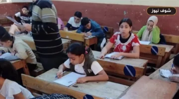رابط تقييمات وزارة التربية والتعليم 2026: تحميل الواجبات والأداءات الصفية