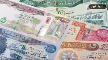 رابط الاستعلام راتب الرعاية الاجتماعية في العراق عبر  منصة مظلتي 2026