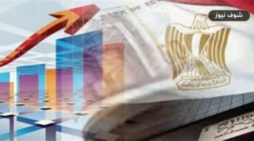 صادرات الصناعات الغذائية المصرية تسجل 2.12 مليار دولار في النصف الأول من 2026 بنمو 14%