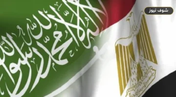 صادرات مصر إلى دول البريكس: السعودية تتصدر بـ 1.8 مليار دولار وتستحوذ مع الإمارات على 53% من الإجمالي