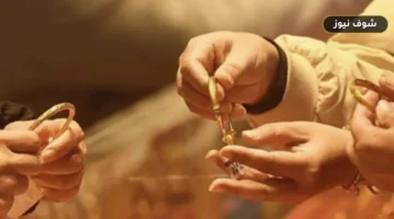 سعر الذهب اليوم الاثنين 14 سبتمبر 2026 في مصر.. عيار 21 يسجل 6230 جنيهاً والجنيه يعادل 8 جرامات