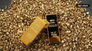 سعر الذهب في مصر اليوم الأحد 20 سبتمبر 2026: عيار 21 يوقف هبوط 3 أسابيع بمكاسب 115 جنيهاً