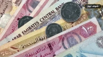 سعر الدرهم الإماراتي مقابل الجنيه المصري اليوم السبت 19 سبتمبر 2026 في البنوك
