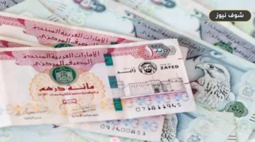 سعر الدرهم الإماراتي مقابل الجنيه اليوم الإثنين 21 سبتمبر 2026 في البنوك المصرية