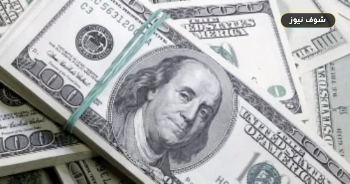 سعر الدولار في البنوك المصرية اليوم الثلاثاء 8 سبتمبر 2026.. كريدي أجريكول = 51.00 شراء - 51.10 بيع 5 سعر الدولار في البنوك المصرية اليوم الثلاثاء 8 سبتمبر 2026.. كريدي أجريكول = 51.00 شراء – 51.10 بيع