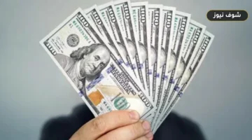 سعر الدولار في البنوك المصرية اليوم الأحد يسجل استقراراً تحت حاجز 51 جنيهاً